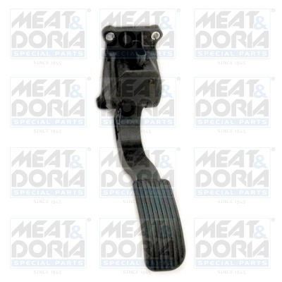 Accelerator Pedal Unit